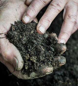 world soil day