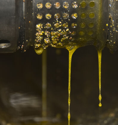 Cold pressed rapeseed oil