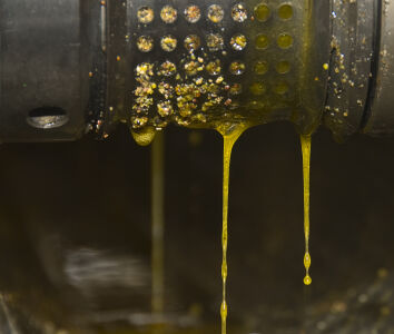 oil dripping from press