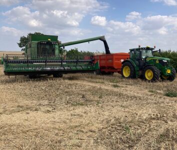 unloading rapeseed