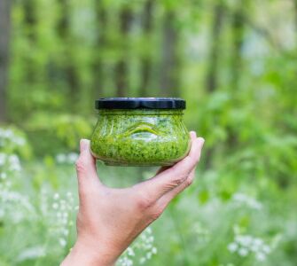 Wild Garlic Pesto