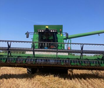 oats harvest