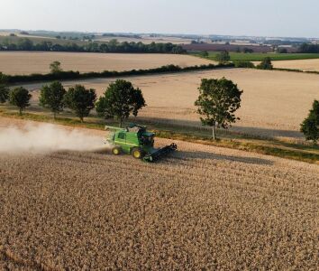 Wheat harvest 2026