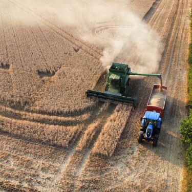 harvest 2026