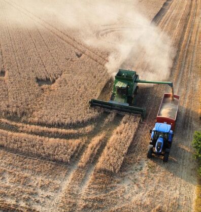 Post harvest