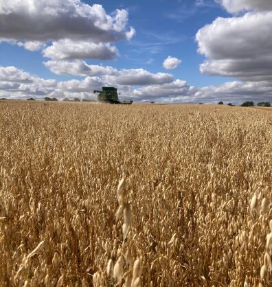Farrington Oats Harvest