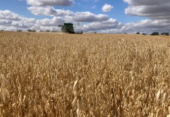 Farrington Oats Harvest