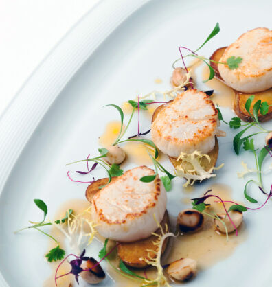 Adam Gray's scallops and roasted cobnut salad